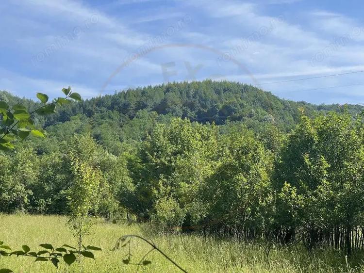 Teren Premium 1559 mp, Brebu Manastirei Refugiu Montan la 120 km de Bucuresti, - 1
