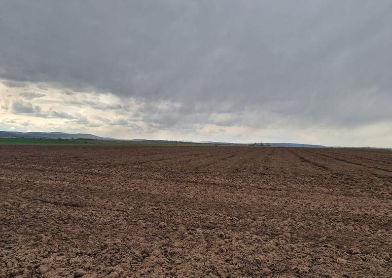 Teren 10,000mp Bacau / Strada Alexandru Safran - 9