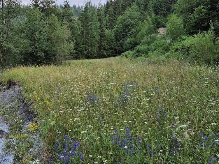Teren agricol intravilan de 7400 mp, în Colacu
