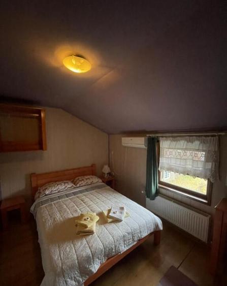 Pensiune P+1+M de vanzare, 396 mp, zona Orasul Vechi - 12