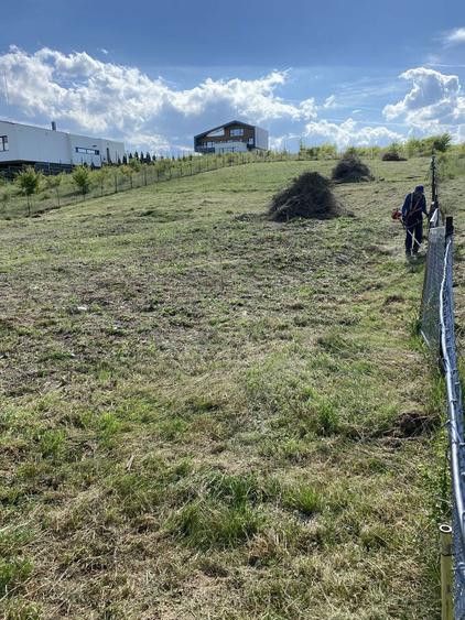 Teren intravilan de vanzare Salicea, Cluj - 5