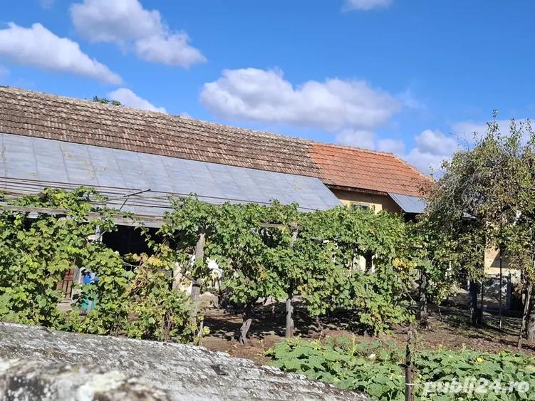 Casa cu teren 1480 mp, la 5 minute de Dunare Crivina, comuna Burila Mare, jude?ul Mehedin?i - 6