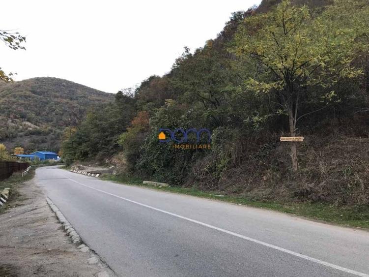 Teren intravilan Baile Herculane - 5