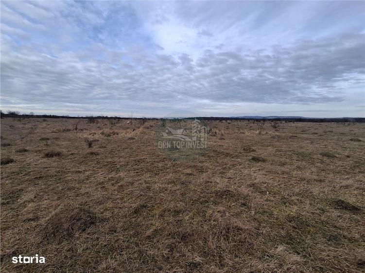 Teren intravilan 679mp zona Arhitectilor - Aerodrom - 2