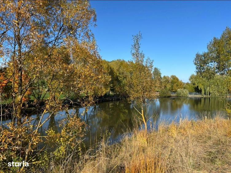 Teren de vanzare - Agapia, Neamt - 10