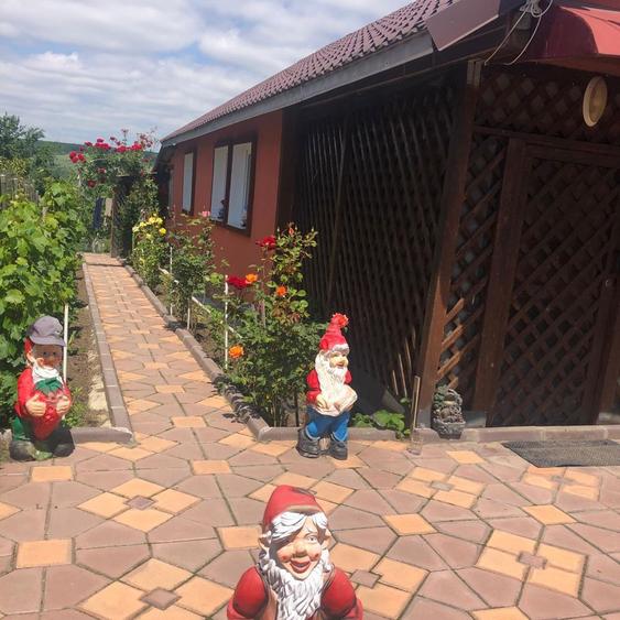 Casa vanzare Vulpeni Olt - 1