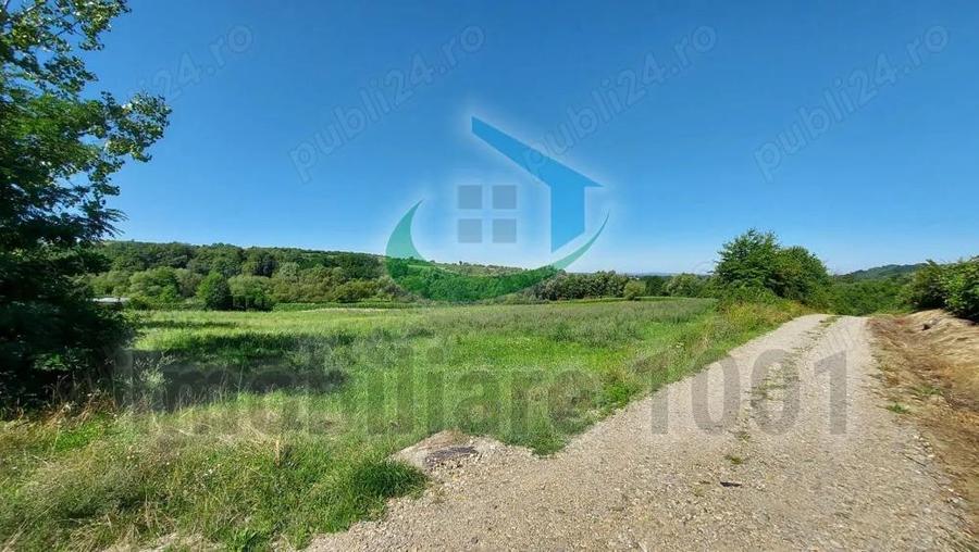Teren intravilan, parcele intre 9 si 22 arii, Carbunari, acces la drum public - 1