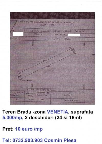 Terenuri Bradu, diverse suprafete - 5