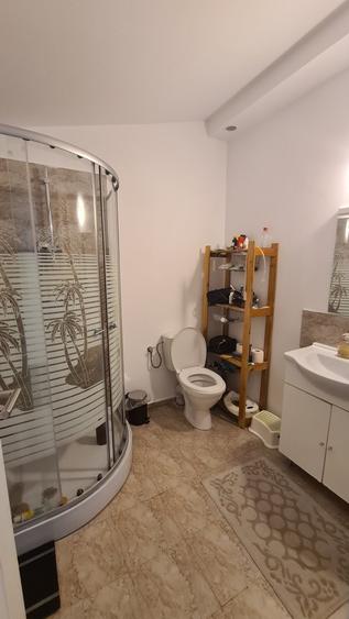 Corp de vila P+1 Parc Cismigiu - Cobalcescu - 16