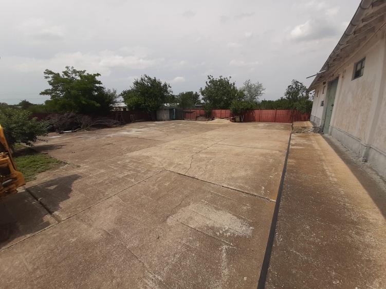 Hala in Independenta - 3