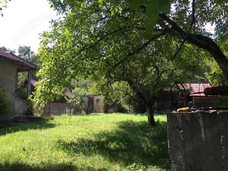Vand proprietate situata in centrul comunei Mociu, jud. Cluj - 4