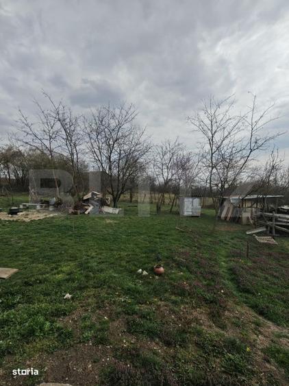 Teren intravilan 3000 mp, in Sandulesti - 3