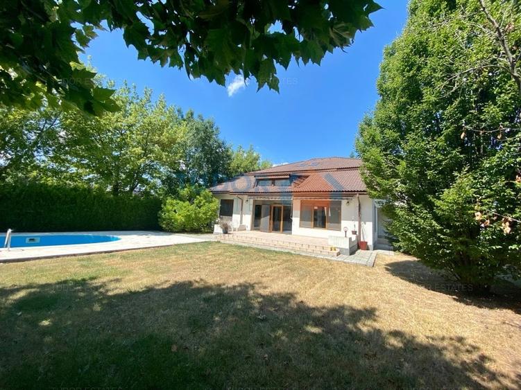 Vila cu piscina Iancu Nicolae - 1