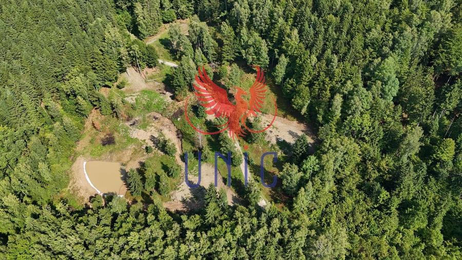 18000 mp de natura pura ,Lupeni, langa Straja - 1