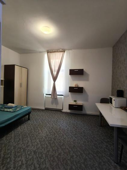 zona Medicinei, ideala studenti, mobilata, utilata complet - 10