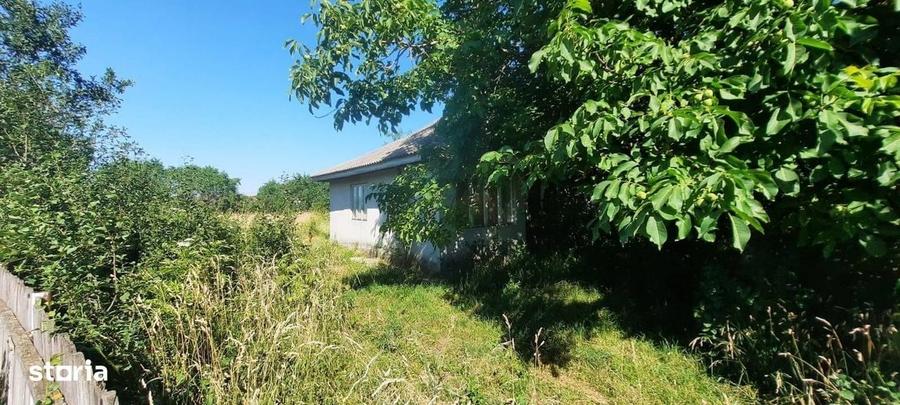Teren Intravilan | 2500 Mp| Voinesti- 59.000 Euro - 6