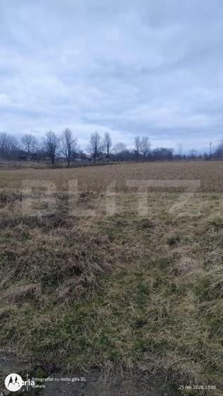 Casă cu 4 camere cu Teren 5450 Mp în Central