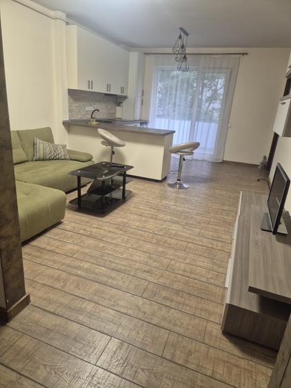 Apartament cu 2 camere semidecomandat în Săsar