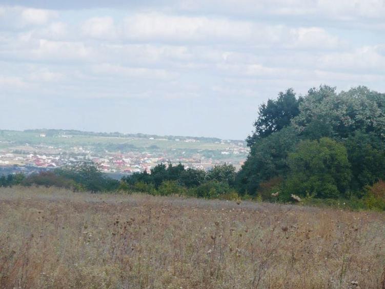 Teren intravilan Iasi Centura Miroslava Valea Ursului Uricani Gaureni - 4