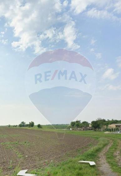 Teren Draganeasca-Ulmi / DJ 404 Jud Giurgiu - 2