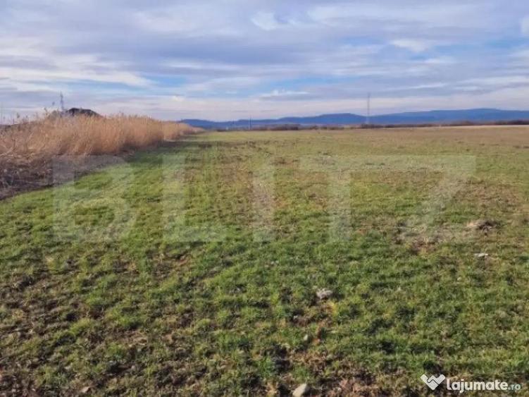 Teren intravilan, 8700mp,Prejmer - 2