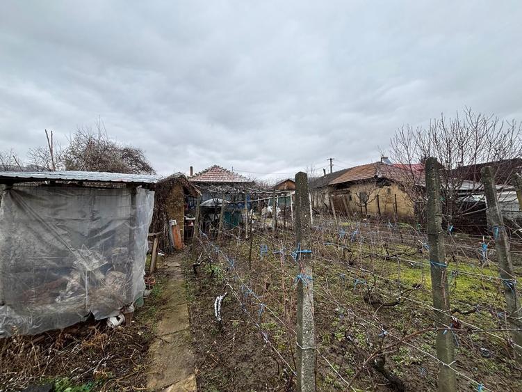 Teren+casa batraneasca+ teren agricol - 2