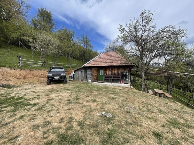 Casa ,livada si padure in com batrana jud hunedoara tinutul padurenilor - 1