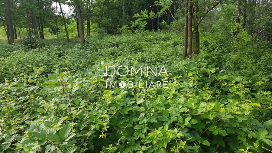 Vanzare teren intravilan 6843 mp, aproape de Manastirea Polovragi - 4