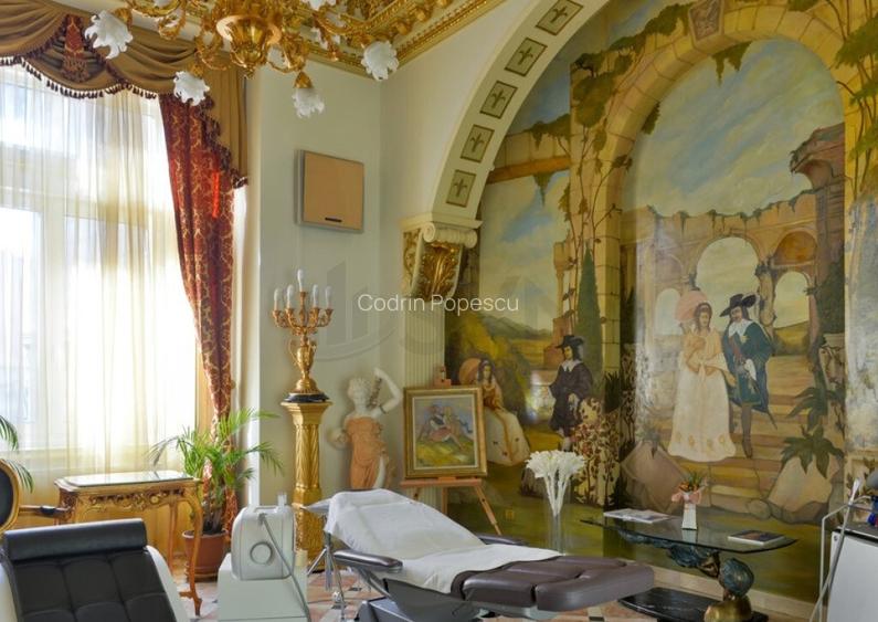 Palat de Lux Piata Romana Ambasada
