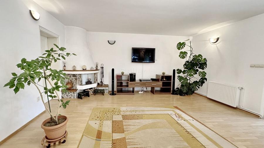 Casa De Vanzare Langa Padure - 5