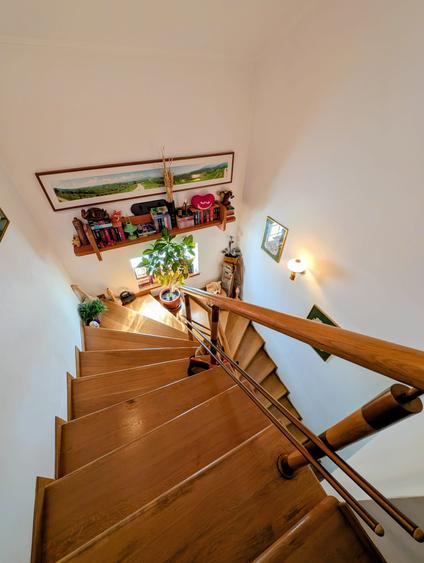 Jiului-Coralilor-Damaroaia,eleganta,robusta,garaj,curte intima,vegetatie matura - 25