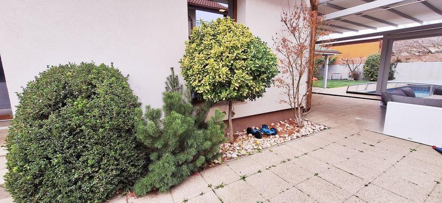 Casa eficienta energetic cu piscina in Giroc - 37