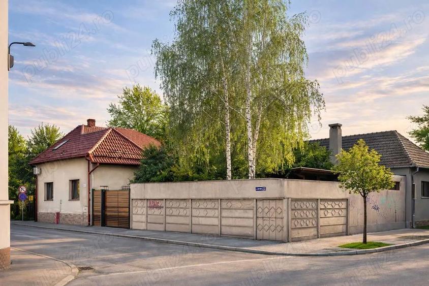 Casa in zona centrala( spatiu comercial casa de locuit) singur in curte - 3