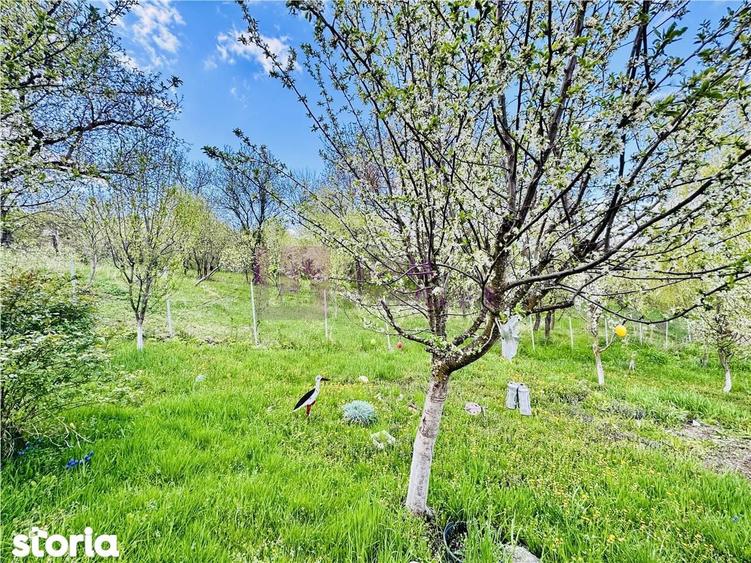 Casa individuala de vanzare in Nucet | Rosia | teren 747 mp | livada, - 2