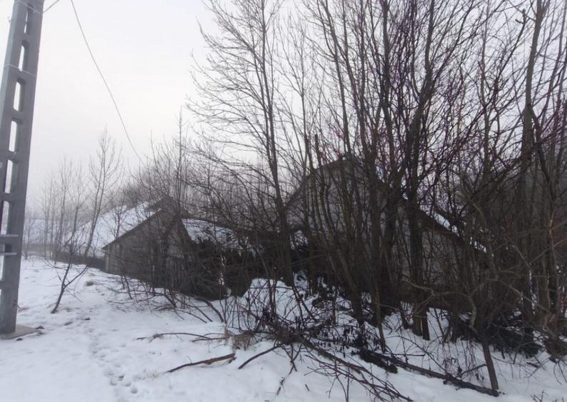 Teren intravilan , 5000mp, zona Negostina, Siret - 4