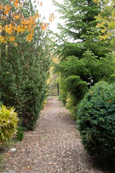 Casa si teren zona deosebita - 10