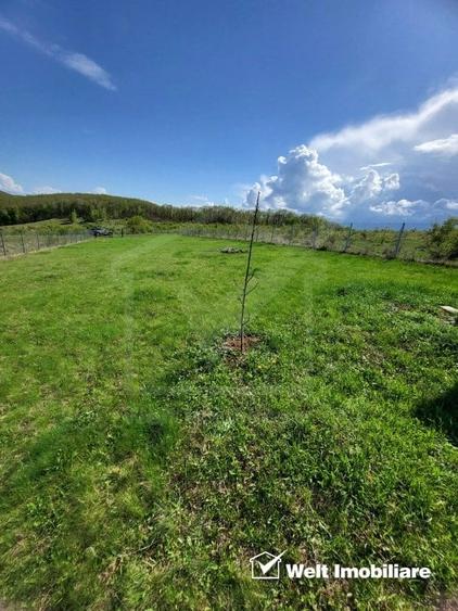 Teren extravilan 2000 mp, imprejmuit, panorama superba – Salicea (Cluj) - 5