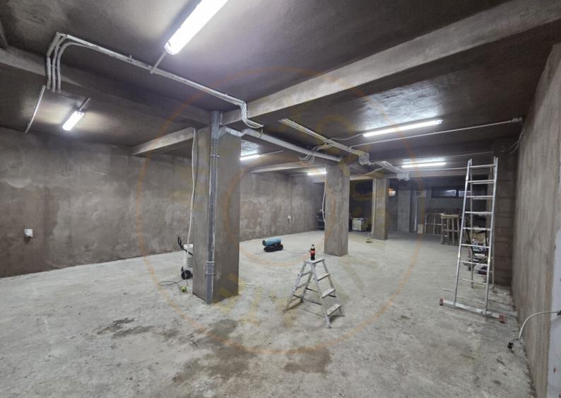 Hala / Spatiu Productie / Rezidential - Vedere catre lac - 4