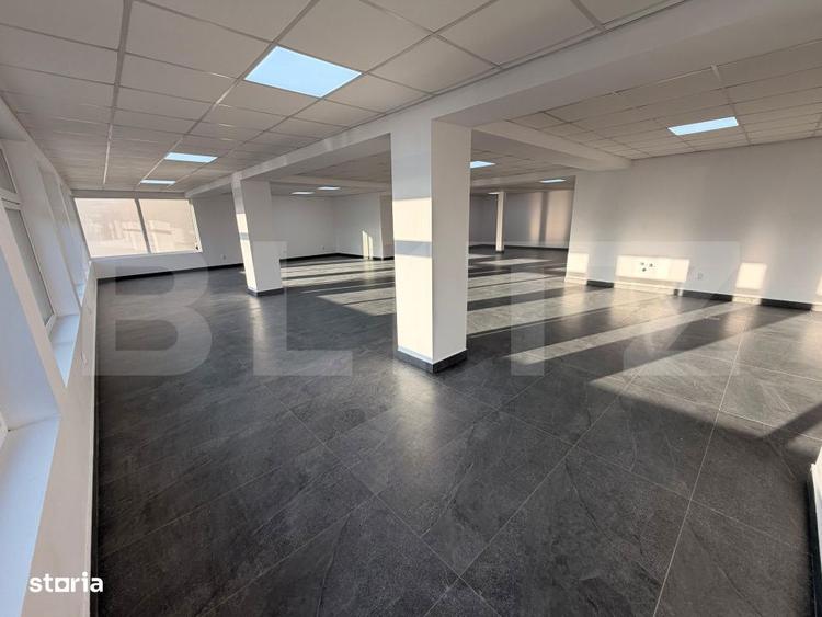 Spatiu 245 mp cu 10 parcari, curte logistica si rampa marfa DN Rac - 9
