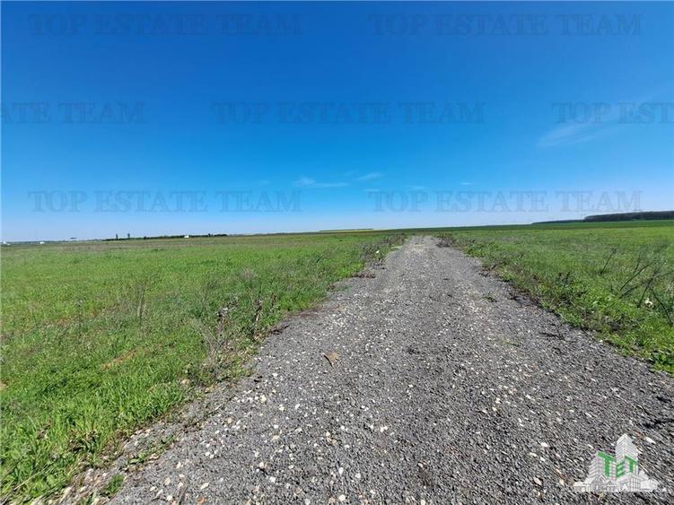 Loturi teren de vanzare Branesti/Vadu Anei - 13