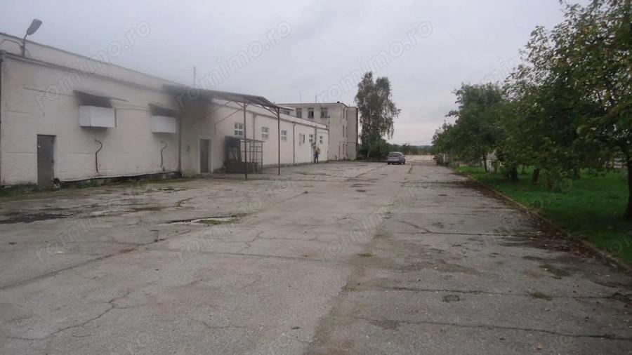 Hala depozitare / produc?ie, 10000 mp - 6