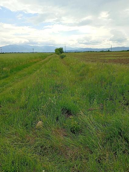 Teren de 2900 mp, în Central