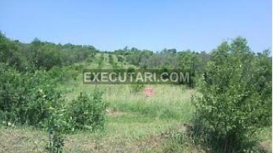 Teren extravilan de 7417 mp, în Budacu de Jos
