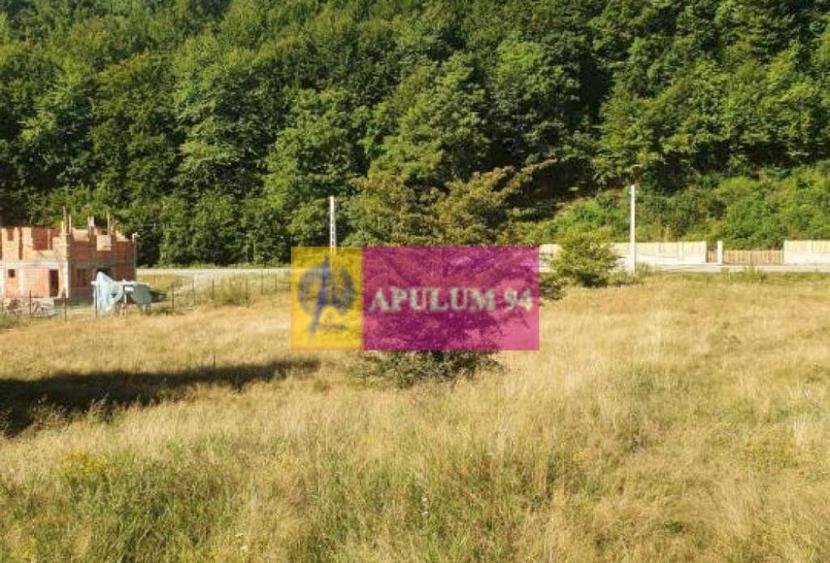 Teren Jude?ul Valcea - Brezoi, Valea lui Stan - 4