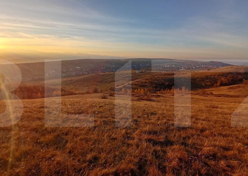 Teren extravilan potrivit pentru investitie - 2