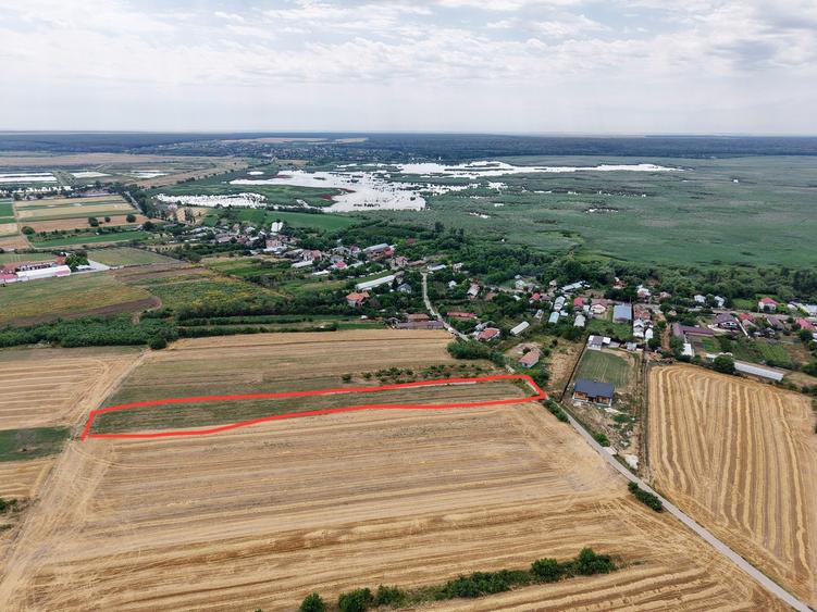 Teren Budeni - Delta Comana - Giurgiu - 6