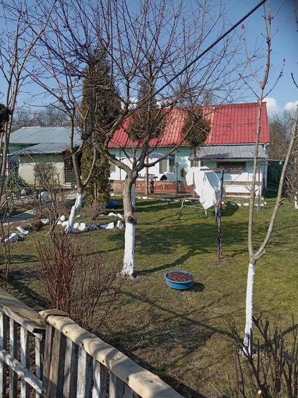 Vand casa in Tichindeal - 10