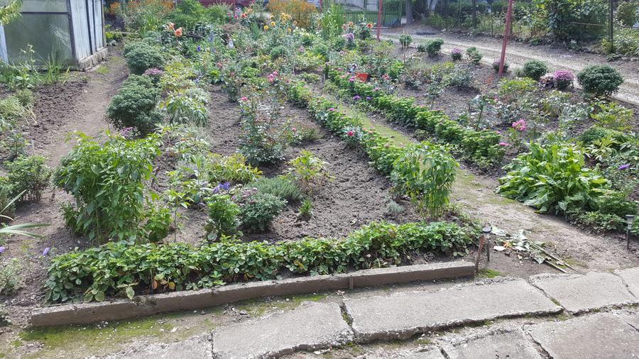 Casa zona poarta Schei, 9 camere, D+P+E+pod,suprafata 640 mp, 1.234 mp teren. - 4