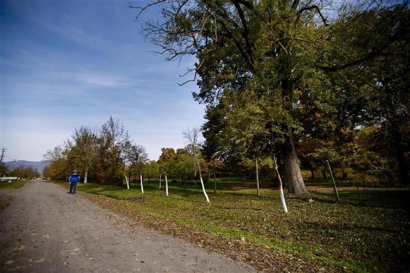 De vanzare Domeniu Baronial SAT CIL - 2