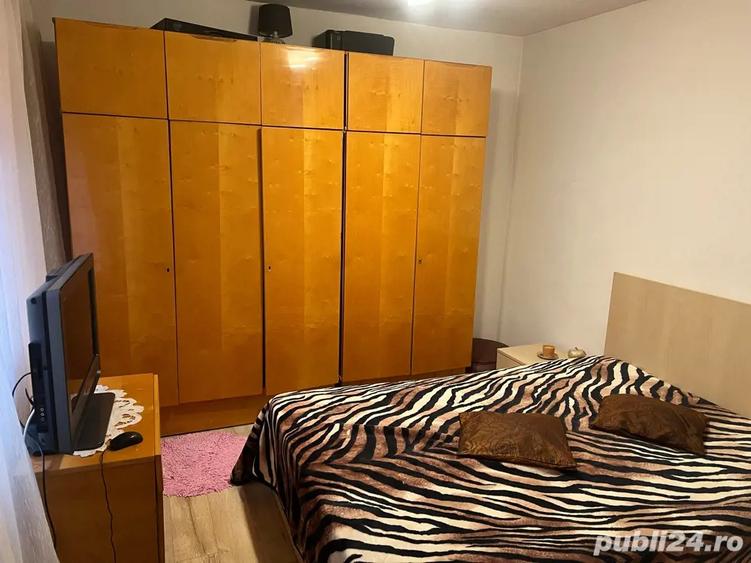 Casa de vanzare (Turcoaia) + teren (1300 mp) - 4